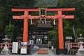 松尾大社の写真_1542167