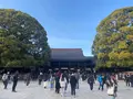 明治神宮の写真_1543105