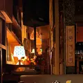 花茶茶花の写真_1551231