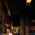 花茶茶花の写真_1551232