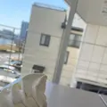 田中屋本店 みなと工房の写真_1558522