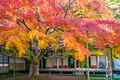 雷山千如寺大悲王院の写真_1562473