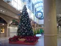 ディアモール大阪の写真_156433