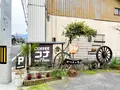 コナの写真_1572681