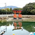 白鳥八幡宮の写真_1572699