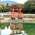 白鳥八幡宮の写真_1572700