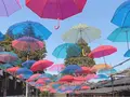 加賀伝統工芸村 ゆのくにの森の写真_1573598