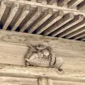 和気神社の写真_1576751