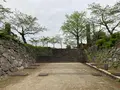 延岡城址の写真_1579610
