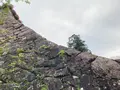 延岡城址の写真_1579612