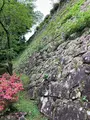 延岡城址の写真_1579613