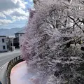 高島城の写真_1580850