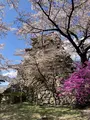 高島城の写真_1580851