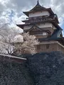 高島城の写真_1580853