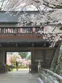 高島城の写真_1580855