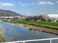 高島城の写真_1580857