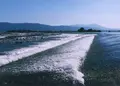 板野郡農協ＪＡグリーンいたの西店の写真_158721