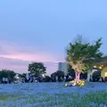 舎人公園の写真_1588373