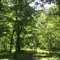 二の丸庭園の写真_1591690