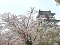 唐津城の写真_1591837
