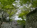 唐津城の写真_1591846