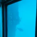 呼子萬坊の写真_1591901