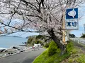 呼子萬坊の写真_1591902