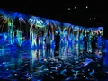 teamLab Forest / チームラボフォレスト – SBI証券の写真_1591925