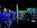 teamLab Forest / チームラボフォレスト – SBI証券の写真_1591927