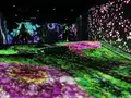 teamLab Forest / チームラボフォレスト – SBI証券の写真_1591930