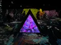 teamLab Forest / チームラボフォレスト – SBI証券の写真_1591933