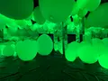 teamLab Forest / チームラボフォレスト – SBI証券の写真_1591934