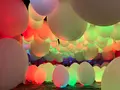 teamLab Forest / チームラボフォレスト – SBI証券の写真_1591935