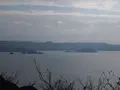 有田みかん街道の写真_160036