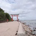 青島神社の写真_1619620