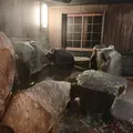 琴ひら温泉ゆめ山水の写真_1619808
