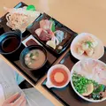 佐田岬はなはなの写真_1619809