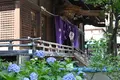 白山神社の写真_1620192