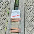 時の回廊の写真_1636126