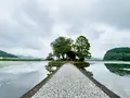 須濱神社の写真_1636137