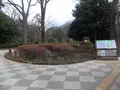有栖川宮記念公園の写真_166768