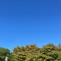 相国寺の写真_1707644