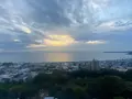 マホロバマインズ三浦の写真_1714891