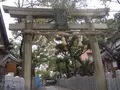 彌栄神社の写真_172316