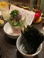 アヒルの写真_1726255