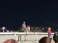 大井競馬場の写真_1735617