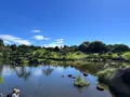 水前寺成趣園の写真_1746987