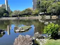 水前寺成趣園の写真_1746989