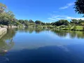 水前寺成趣園の写真_1746990