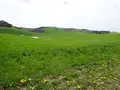 鹿角平観光牧場の写真_175307